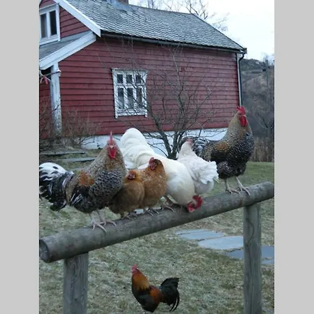 Skjerping Gardshus, Lonevåg