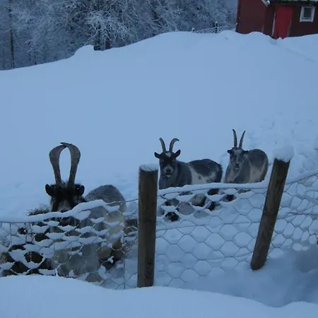 Çiftlik konaklama Skjerping Gardshus, Lonevåg