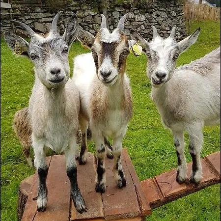 Skjerping Gardshus, בית חווה *