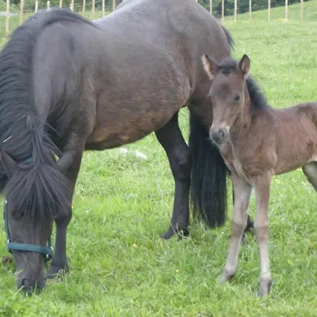 Skjerping Gardshus, * Lonevåg