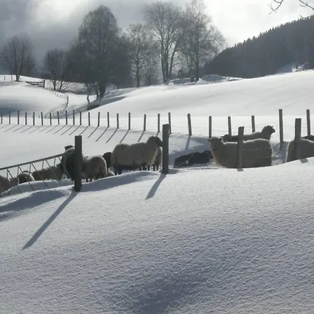 Skjerping Gardshus, * Lonevåg