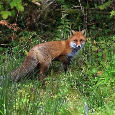 Skjerping Gardshus, בית חווה