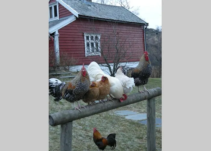 Skjerping Gardshus, Lonevåg