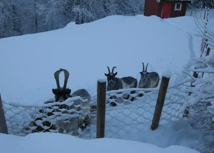Κατάλυμα σε φάρμα Skjerping Gardshus, Lonevåg