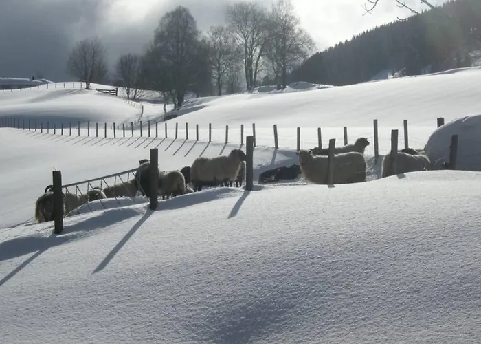 Skjerping Gardshus, * Lonevåg