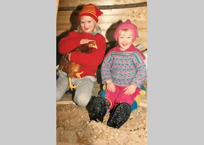 Skjerping Gardshus, Bauernhof *