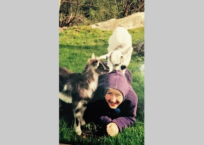 Bauernhof Skjerping Gardshus, Lonevåg