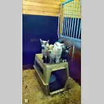 Skjerping Gardshus,
