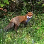 Skjerping Gardshus, Фермерский дом