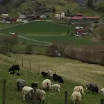 Фермерский дом Skjerping Gardshus, *